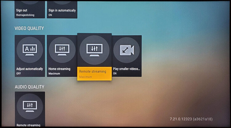 Plex Web Client (Web Browser)
